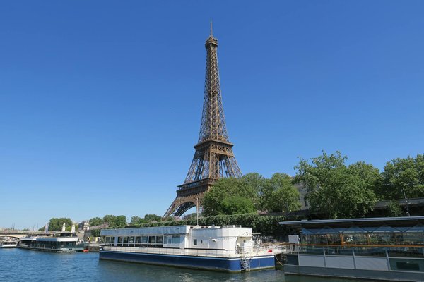 Quels sont les meilleurs spots pour observer les dauphins en Nouvelle-Zélande?